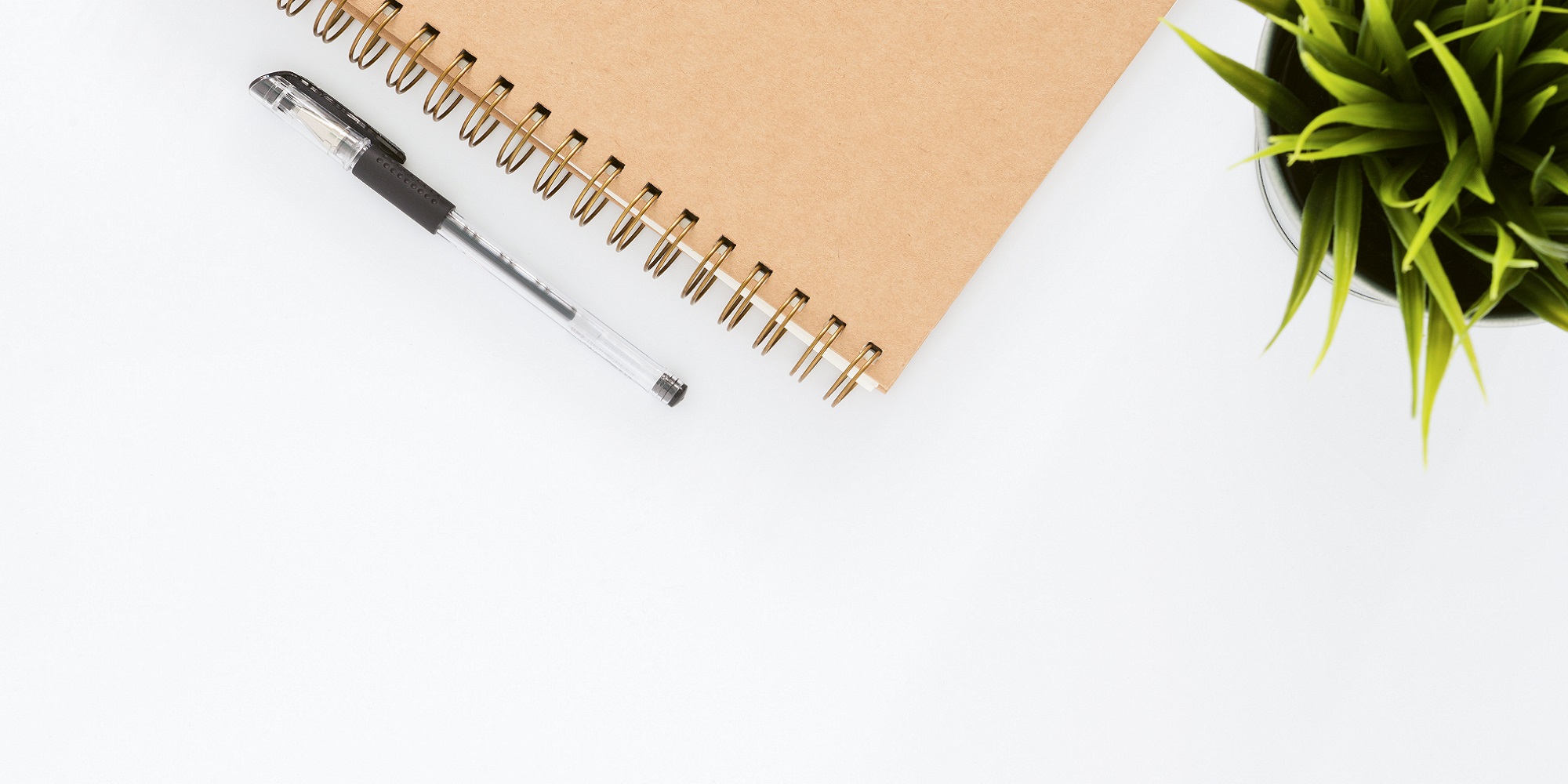 A desk with a diary, a plant and a pen